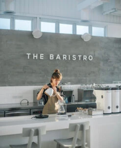 Brewista Artisan Electric Gooseneck Kettle - Pearl White 13 Brewista Artisan Electric Gooseneck Kettle - Pearl White -Coffee Machine IMG 2932newlogo