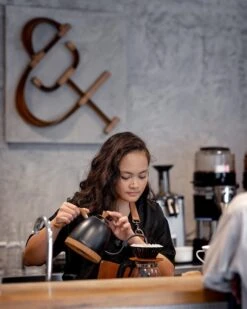 Brewista Artisan Electric Gooseneck Kettle - Matte Black -Coffee Machine IMG 3942 newlogo