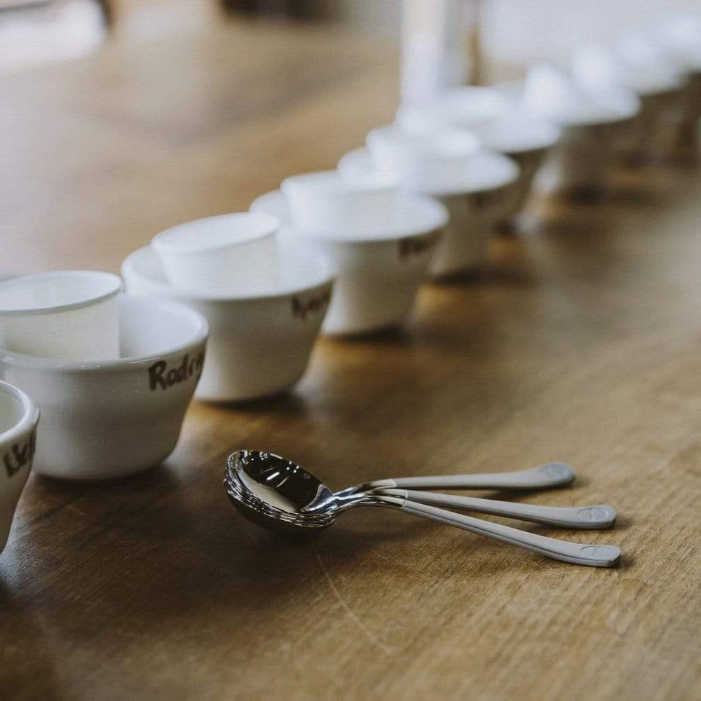 Brewista Professional Cupping Spoon - Stainless 4 Brewista Professional Cupping Spoon - Stainless - Image 2